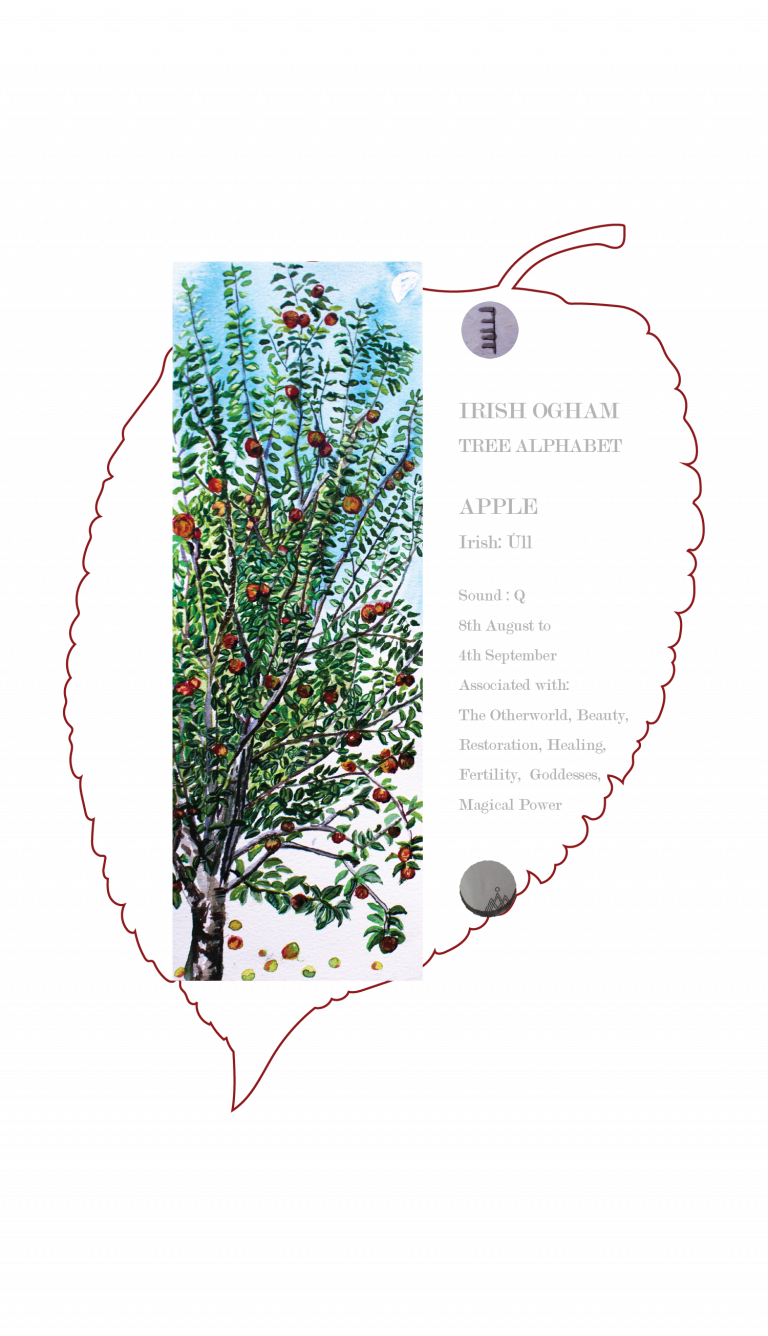 apple-ogham-sublime-irish-art-t-shirt