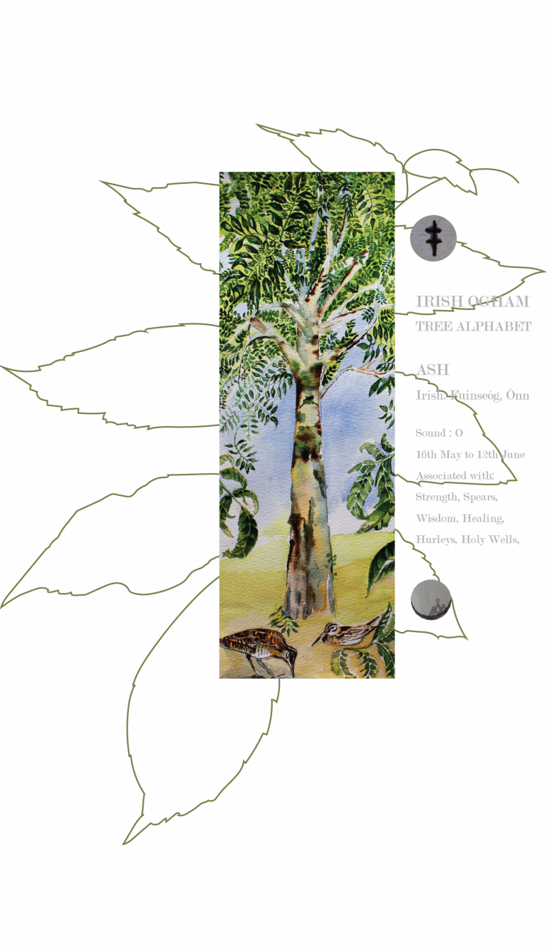 ash-ogham-sublime-irish-art t-shirt