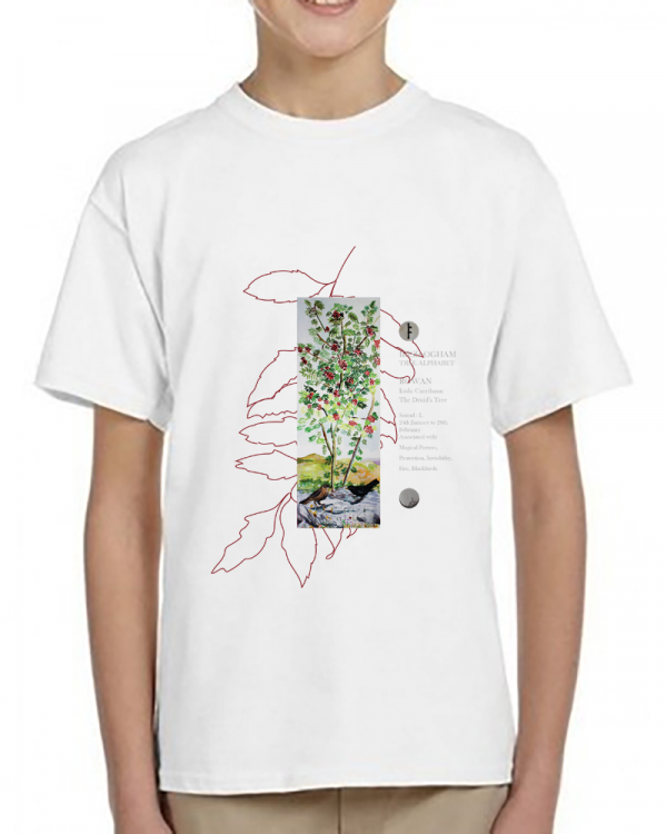 premium-kids-crewneck-tshirt-printed-fiona-10